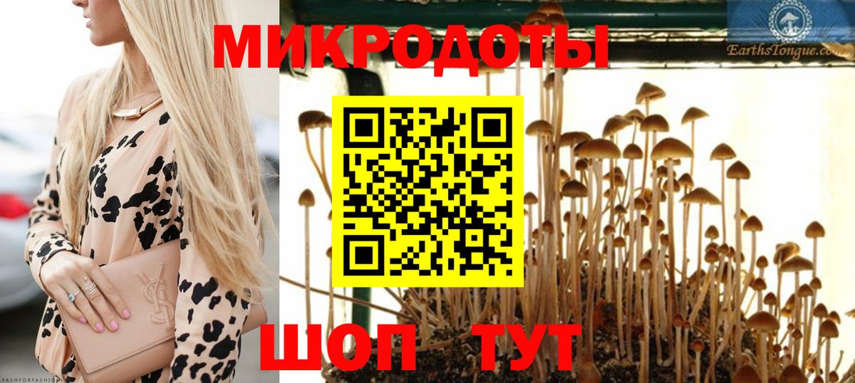 Галлюциногенные грибы MAGIC MUSHROOMS Всеволожск